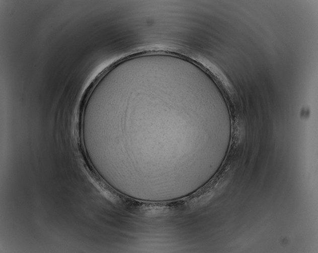 X0000102020886200808081746