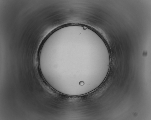X0000102020887200808081746