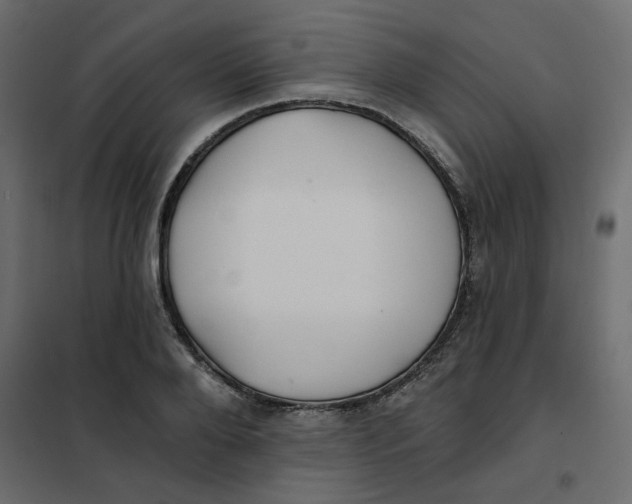 X0000102020888200808081746