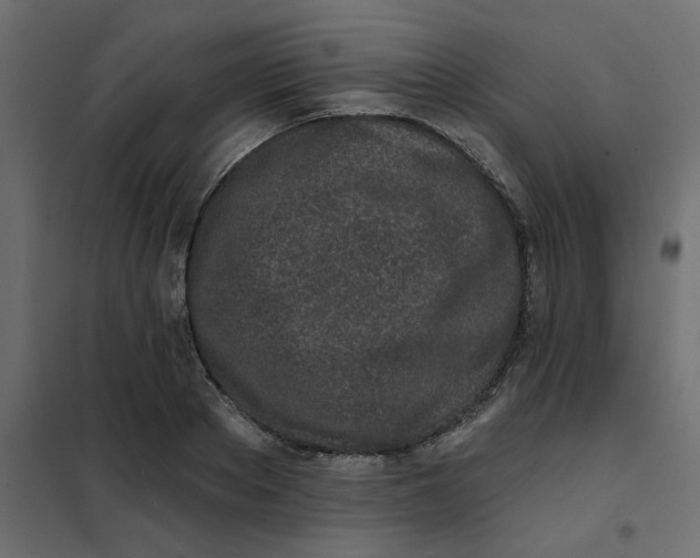 X0000102020889200808081746