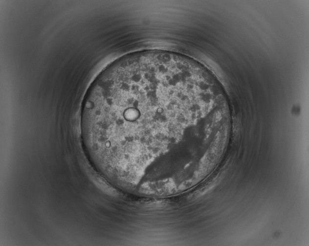 X0000102020891200808081746