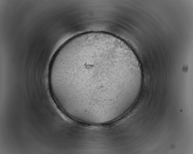 X0000102020894200808081746