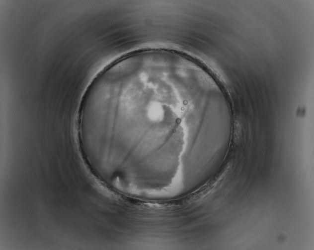 X0000102020895200808081745