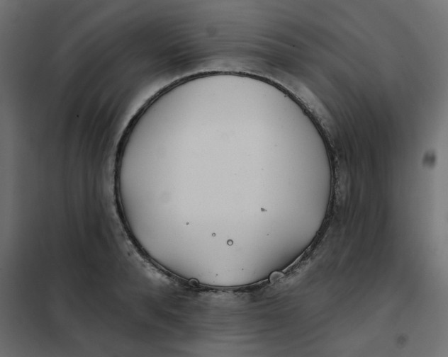 X0000102020896200808081745