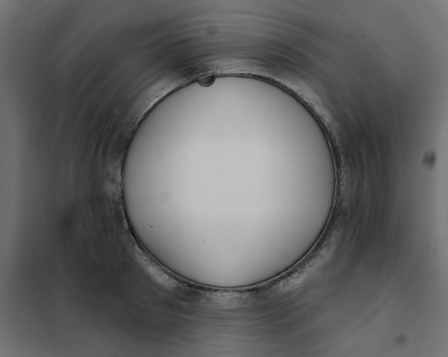 X0000102020897200808081745