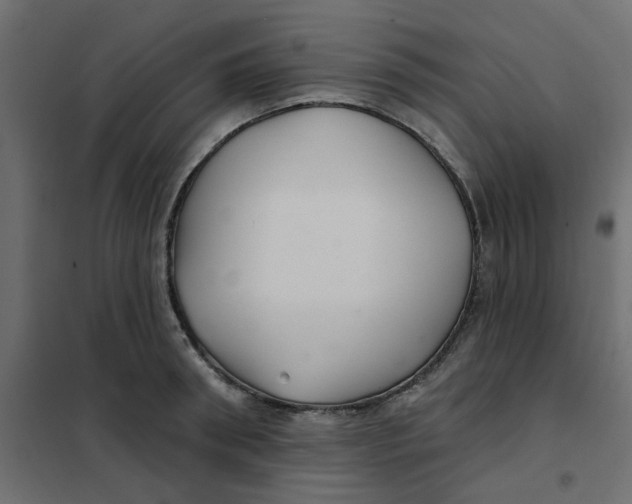 X0000102020898200808081745