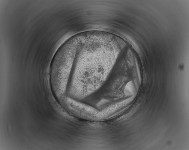 X0000102020899200808081745