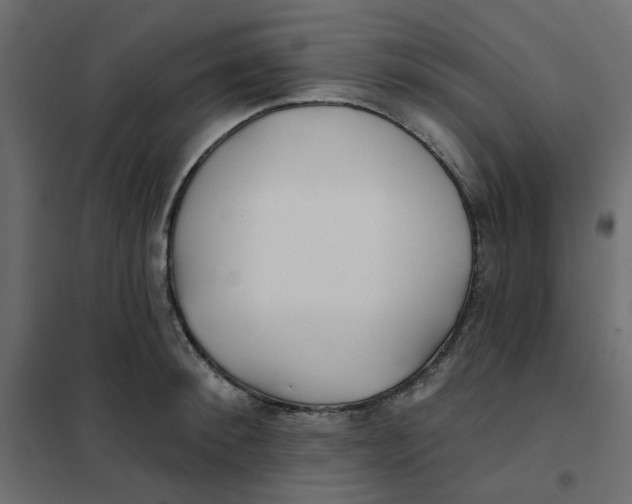 X0000102020900200808081745