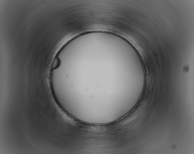 X0000102020901200808081745