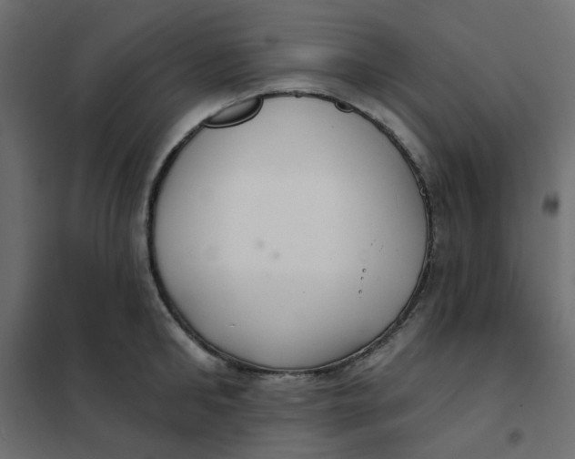 X0000102020902200808081745