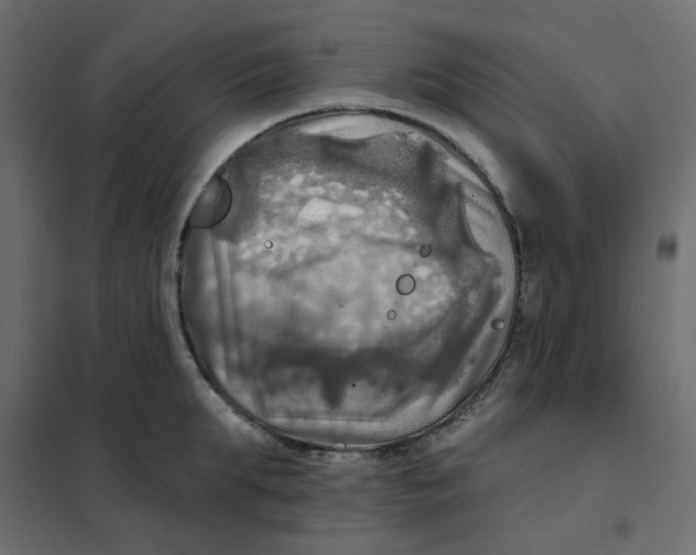 X0000102020903200808081745