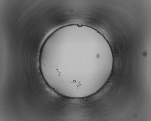 X0000102020904200808081745
