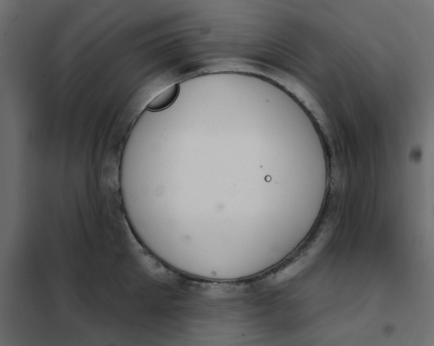 X0000102020905200808081745