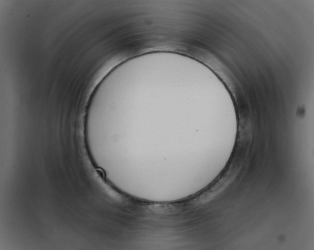X0000102020906200808081745