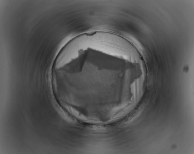 X0000102020907200808081745