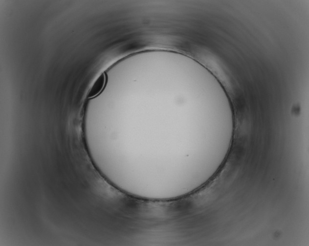 X0000102020908200808081745