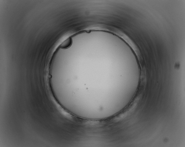 X0000102020909200808081745