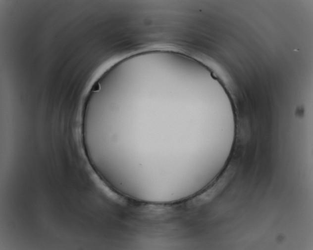 X0000102020910200808081745