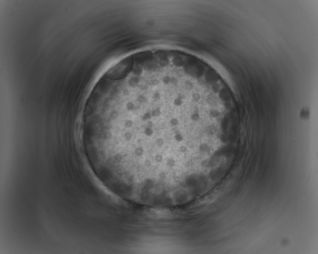 X0000102020911200808081745