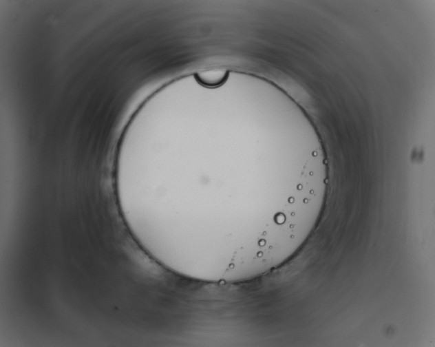 X0000102020912200808081745