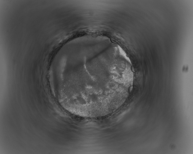 X0000102020913200808081745
