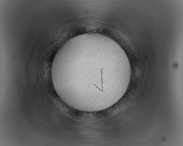X0000102020914200808081745