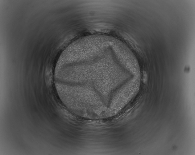 X0000102020915200808081745