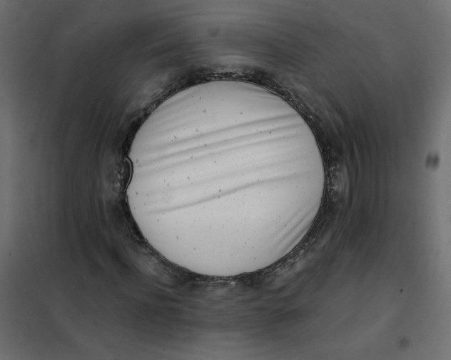 X0000102020916200808081745