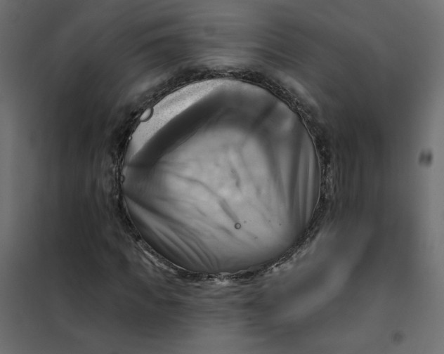 X0000102020917200808081745