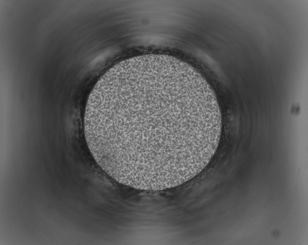 X0000102020918200808081745