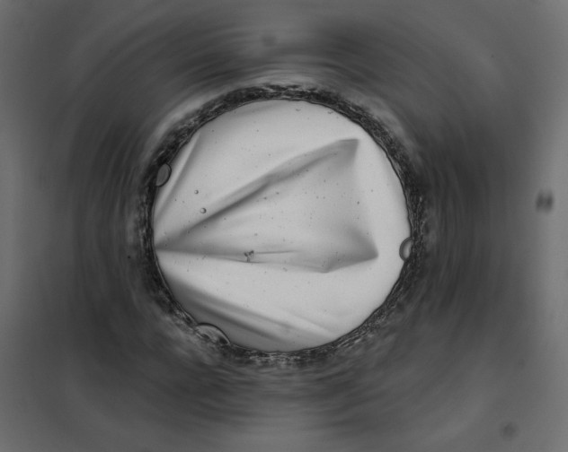X0000102020920200808081745