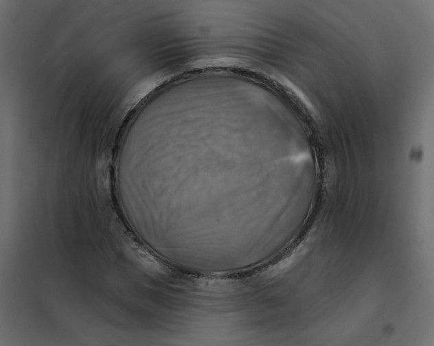 X0000102020921200808081745