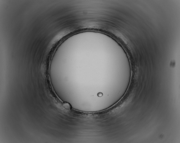 X0000102020922200808081745