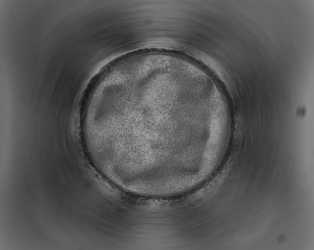 X0000102020923200808081745