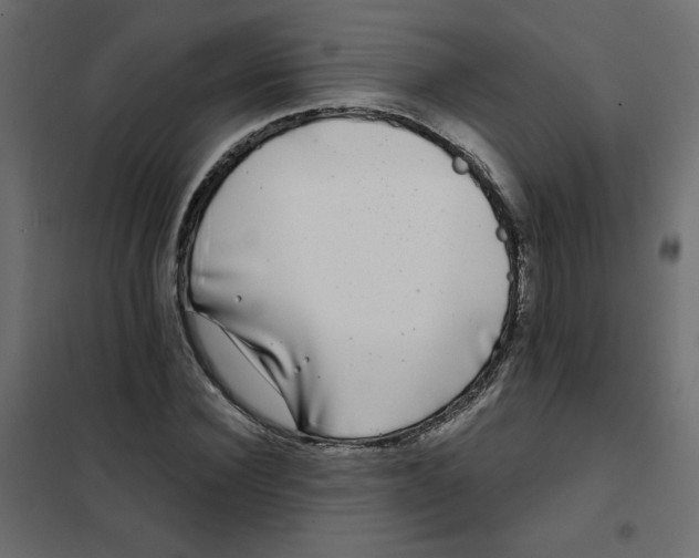 X0000102020924200808081745