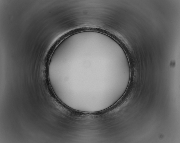 X0000102020926200808081745
