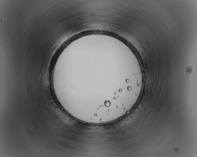 X0000102020927200808081745