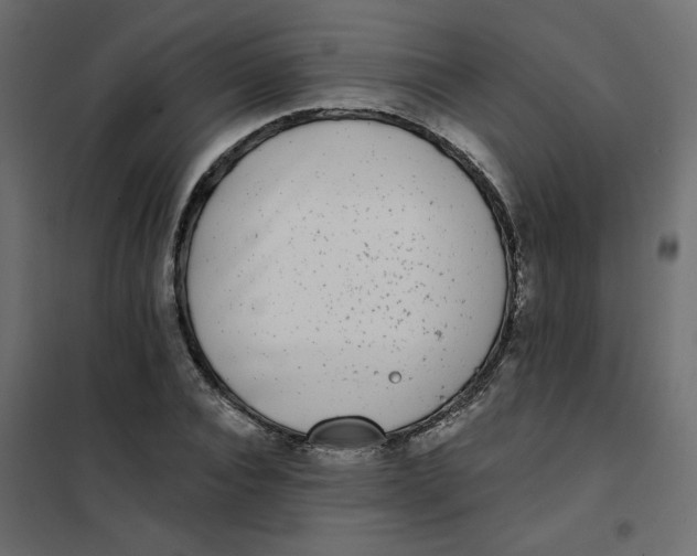 X0000102020928200808081745