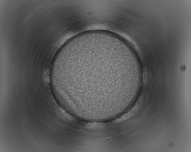 X0000102020929200808081745