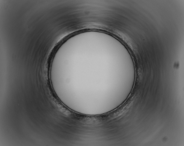 X0000102020931200808081745