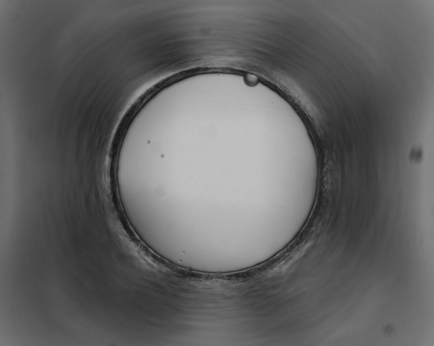 X0000102020932200808081745