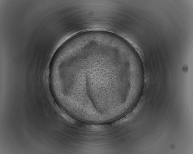 X0000102020933200808081745