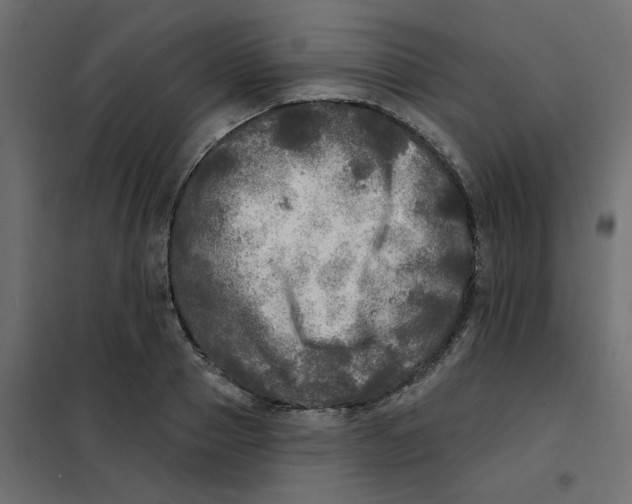 X0000102020937200808081745