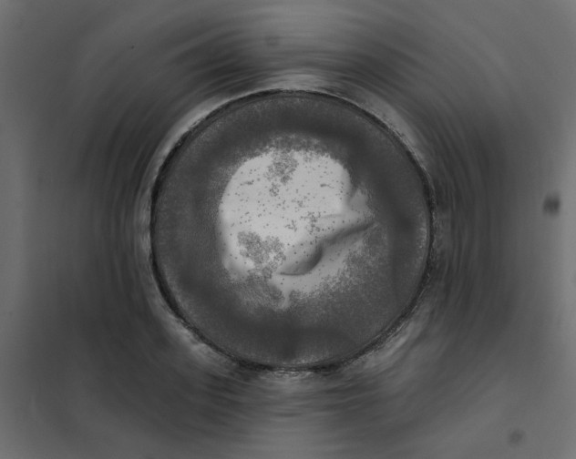 X0000102020939200808081745