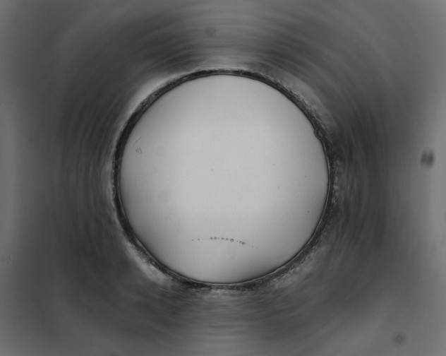 X0000102020942200808081745