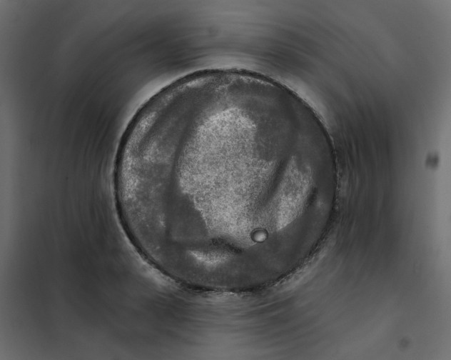 X0000102020943200808081745