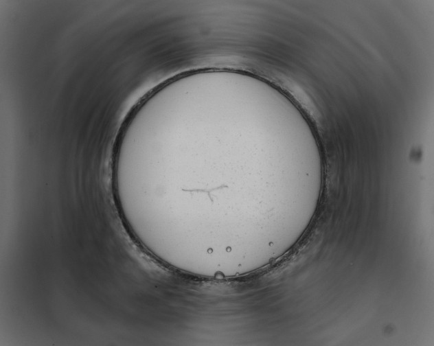 X0000102020944200808081745
