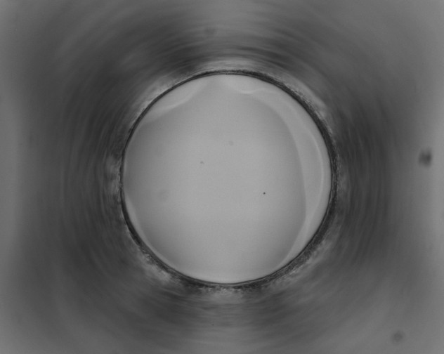 X0000102020945200808081745