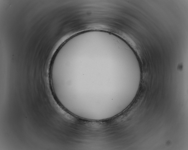 X0000102020947200808081745