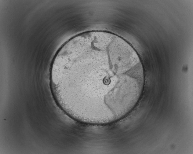 X0000102020950200808081745